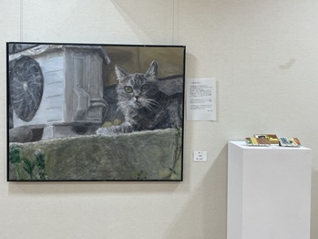 展示風景